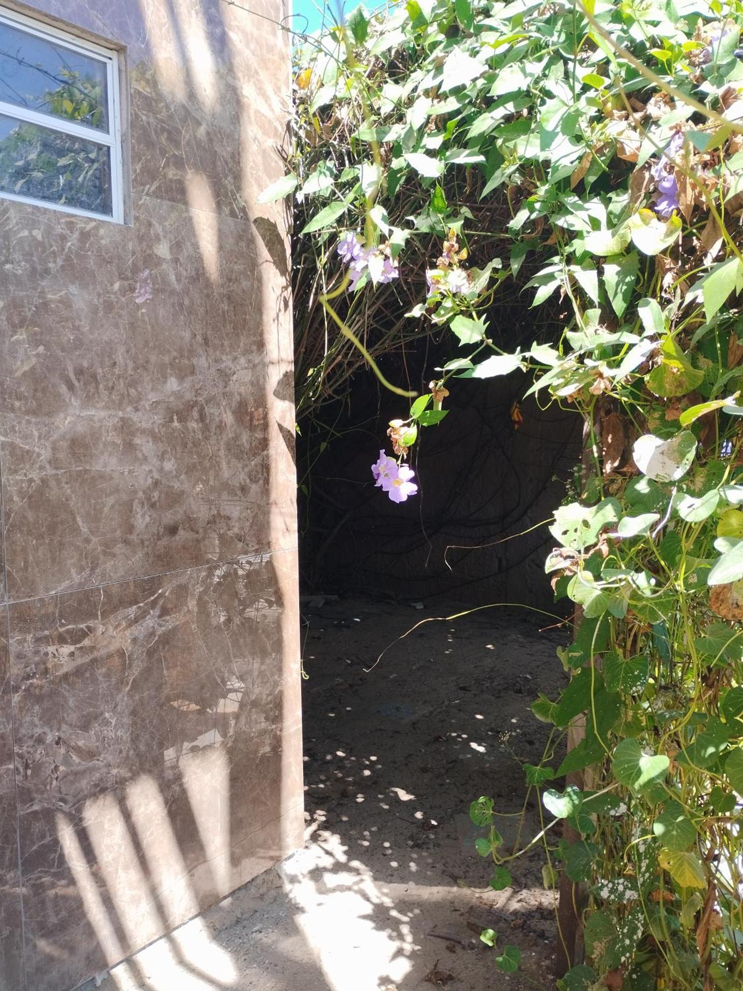 Seomarujo Rent A Room Morro Branco بيبيريبي المظهر الخارجي الصورة