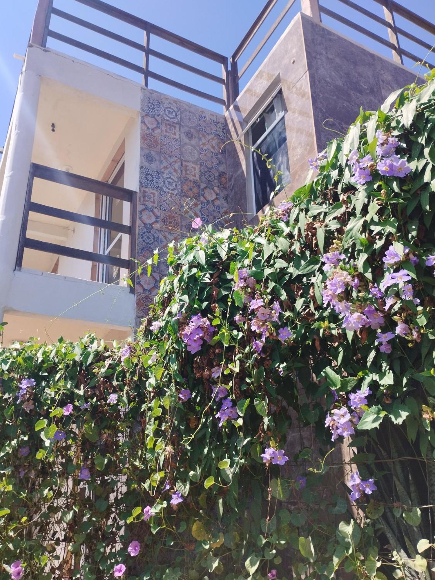 Seomarujo Rent A Room Morro Branco بيبيريبي المظهر الخارجي الصورة